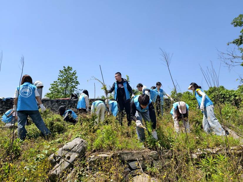 意昂体育 - 提供实时体育赛事资讯与投注分析
学生在石漠化严重的撂荒地开展劳动2